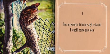 Gattosofia. 100 consigli per vivere ogni giorno felini e contenti. Ediz. illustrata - Catherine Felix - 2