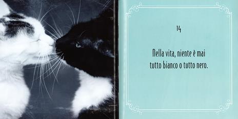 Gattosofia. 100 consigli per vivere ogni giorno felini e contenti. Ediz. illustrata - Catherine Felix - 3