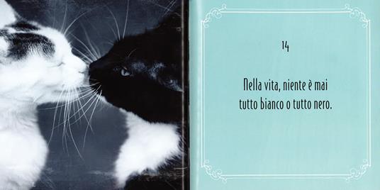 Gattosofia. 100 consigli per vivere ogni giorno felini e contenti. Ediz. illustrata - Catherine Felix - 3
