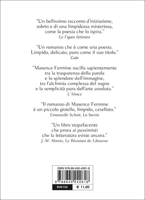 Neve - Maxence Fermine - 3