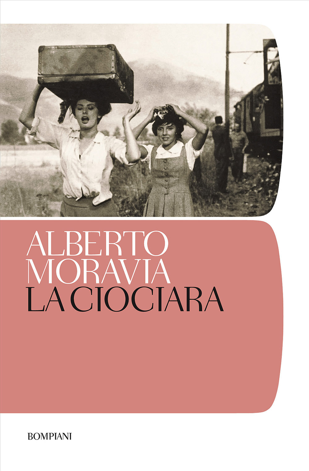 SOLUZIONE LIBRO CANOVA