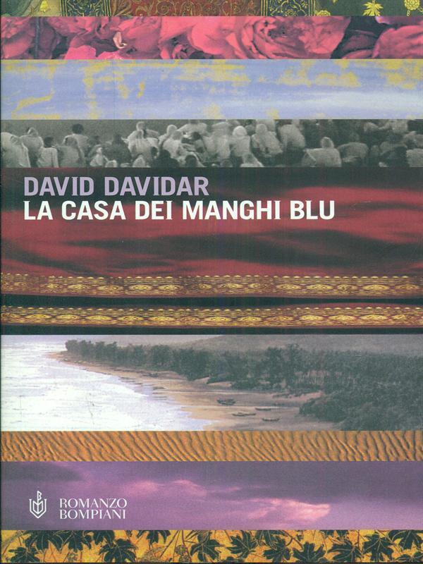 La casa dei manghi blu