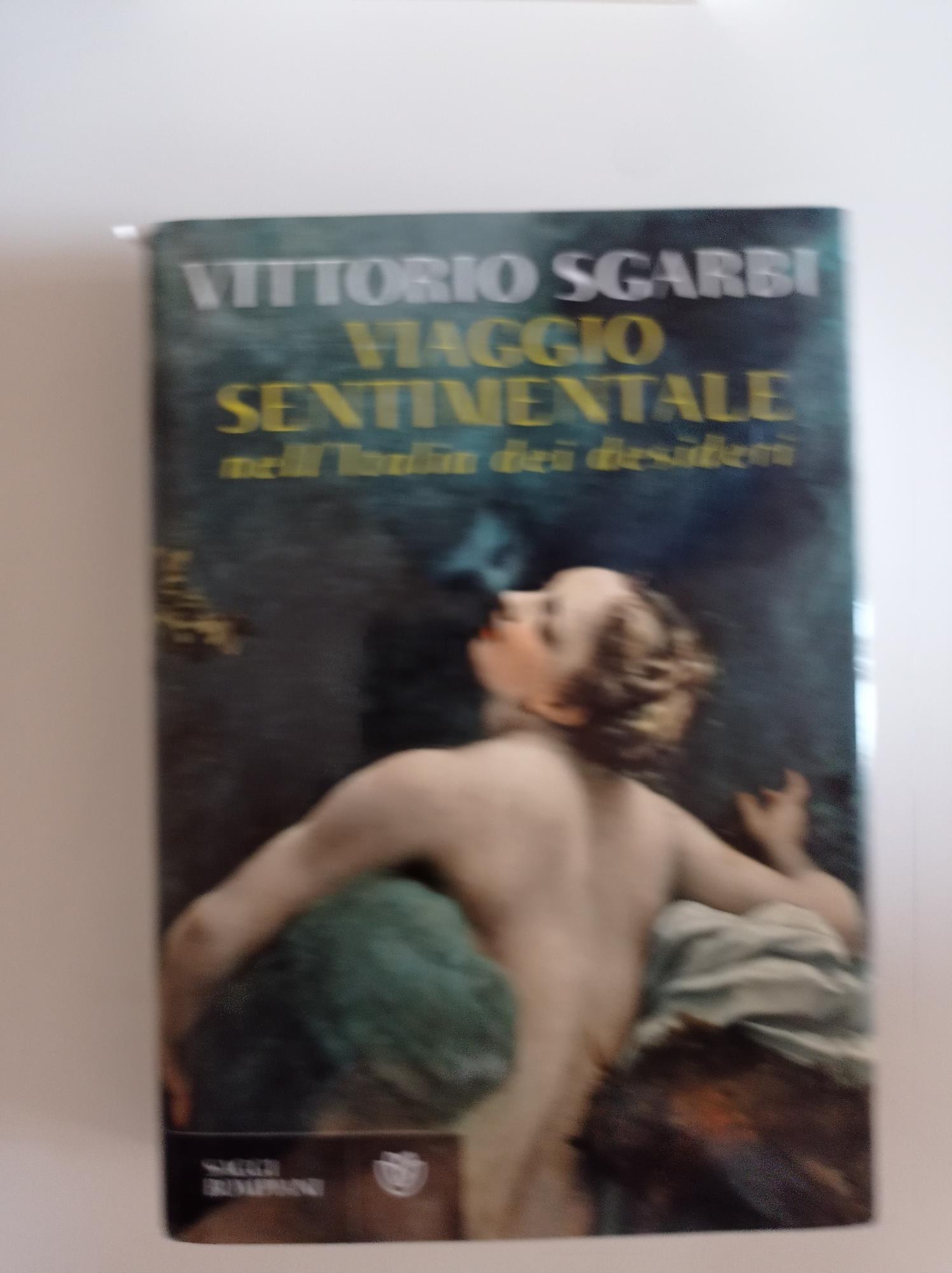 Librisaggi