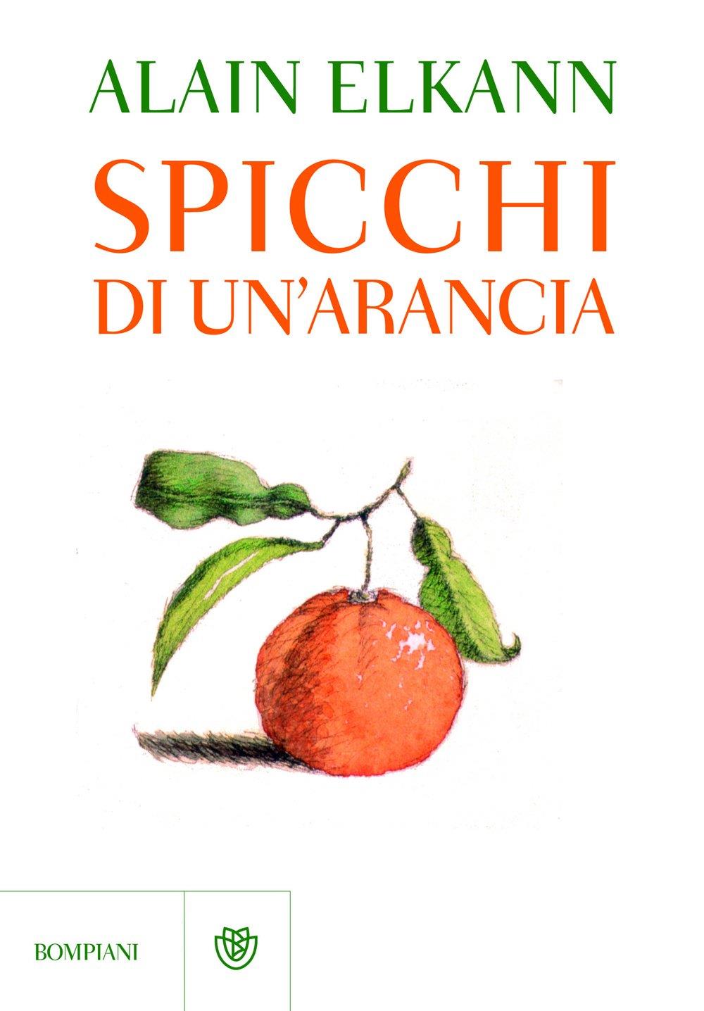 Librisaggi
