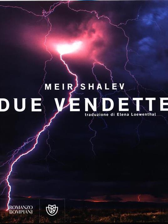 Due vendette - Meir Shalev - copertina