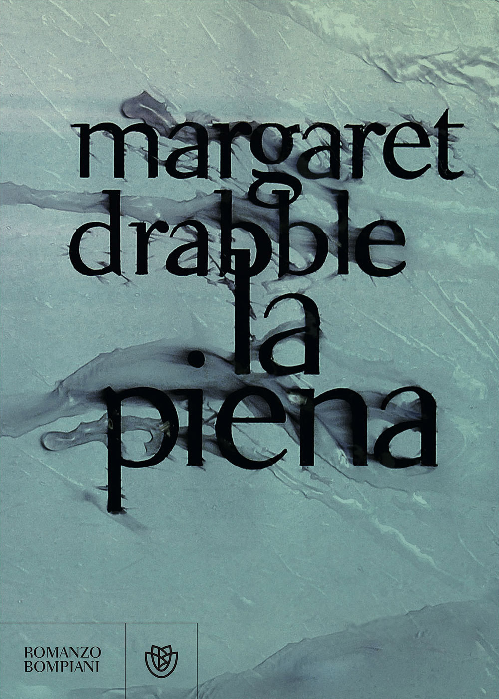 Libreria Trippini Sergio