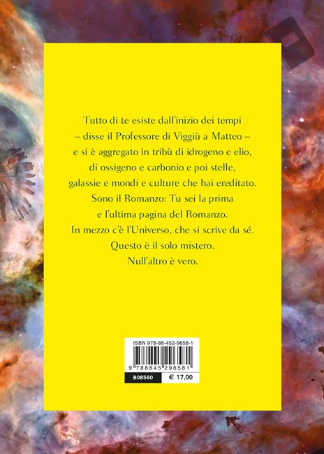 Il professore di Viggiù - Aldo Nove - 2