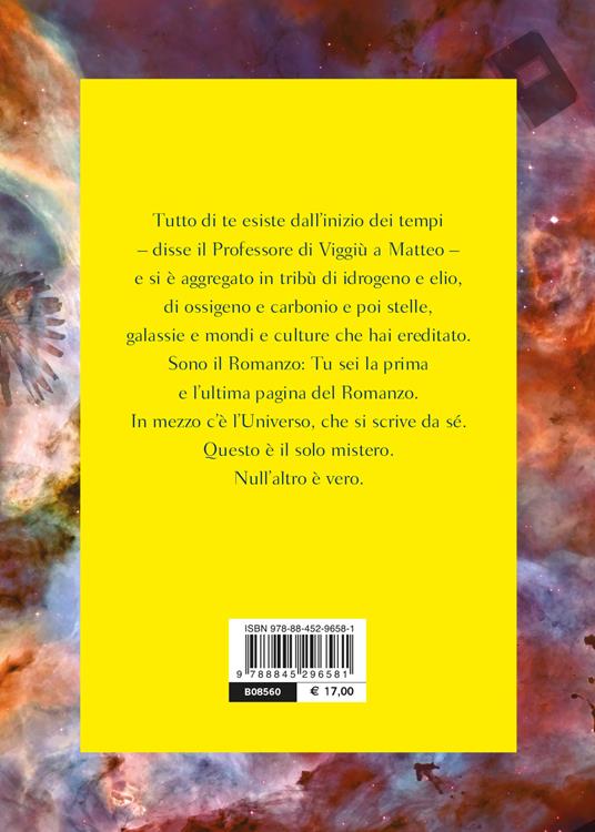 Il professore di Viggiù - Aldo Nove - 2