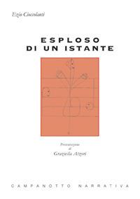 Esploso di un istante - Ezio Cioccolanti - copertina