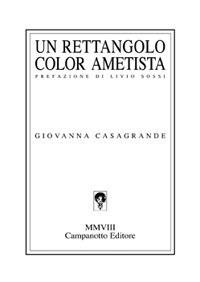 Un rettangolo color ametista - Giovanna Casagrande - copertina