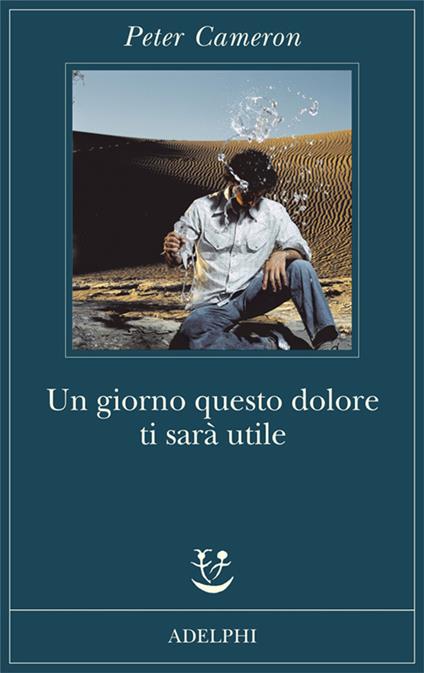 Un giorno questo dolore ti sarà utile - Peter Cameron - copertina
