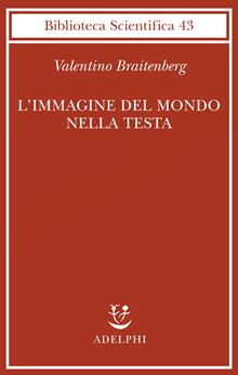 L'immagine del mondo nella testa