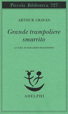 Grande trampoliere smarrito