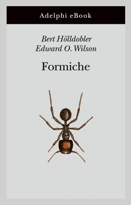 Formiche. Storia di un'esplorazione scientifica - Bert Hölldobler,Edward O. Wilson,Donato A. Grasso - ebook