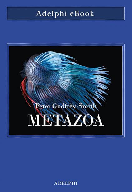 Metazoa. Gli animali e la nascita della mente - Peter Godfrey-Smith,Isabella C. Blum - ebook