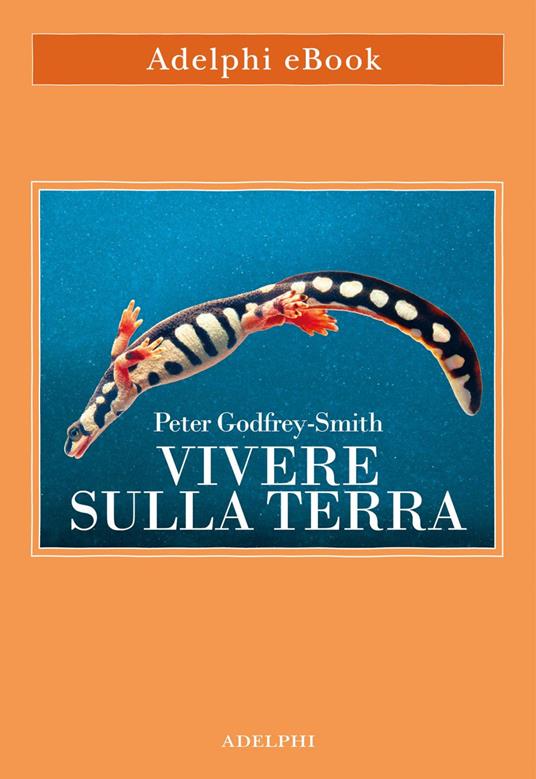 Vivere sulla terra. La vita, la coscienza e la costruzione del mondo naturale - Peter Godfrey-Smith,Allegra Panini - ebook