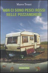 Non ci sono pesci rossi nelle pozzanghere - Marco Truzzi - copertina