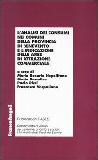 L' analisi dei consumi nei comuni della provincia di Benevento e l'indicazione delle aree di attrazione commerciale - copertina