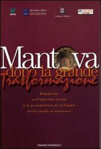 Mantova dopo la grande trasformazione. Rapporto sull'identità locale e la prospettiva di sviluppo della realtà mantovana - copertina