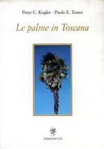 Le palme in Toscana