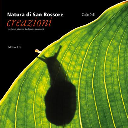 Natura di San Rossore. Creazioni nel Parco di Migliarino, San Rossore, Massaciuccoli - Carlo Delli - copertina