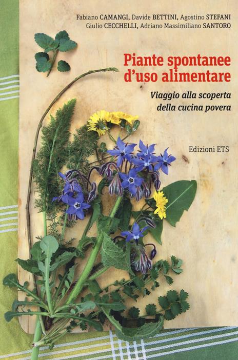 Piante spontanee d'uso alimentare. Viaggio alla scoperta della cucina povera - Fabiano Camangi,Davide Bettini,Agostino Stefani - copertina