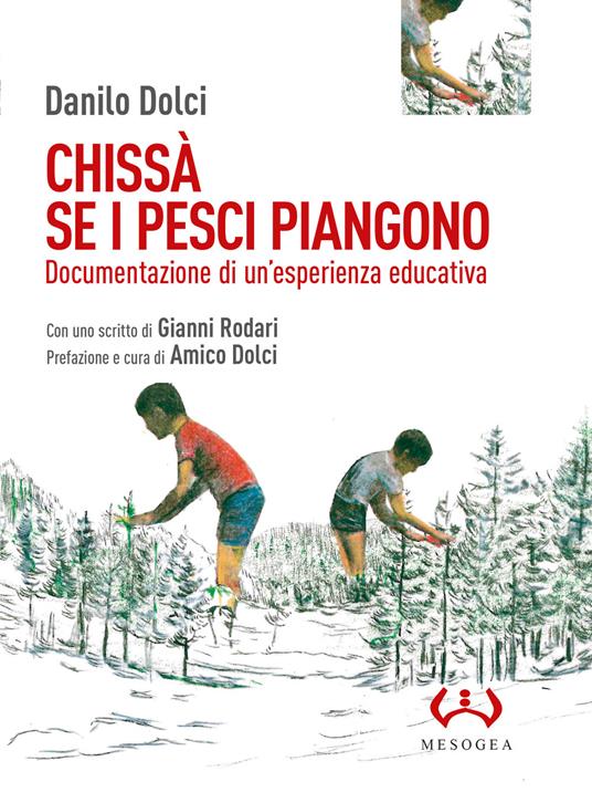 Chissà se i pesci piangono. Documentazione di un'esperienza educativa - Danilo Dolci - copertina