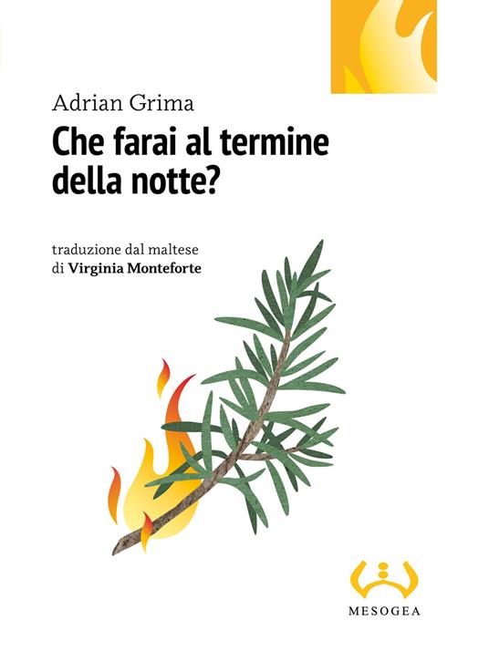 Che farai al termine della notte? - Adrian Grima - copertina