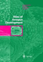 Atlas of xenofus development
