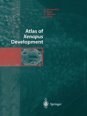 Atlas of Xenopus Development - G. Bernardini,M. Prati,E. Bonetti - cover