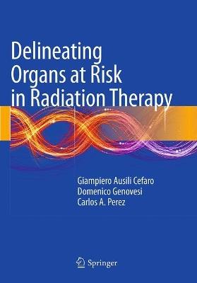 Delineating Organs at Risk in Radiation Therapy - Giampiero Ausili Cèfaro,Domenico Genovesi,Carlos A. Perez - cover