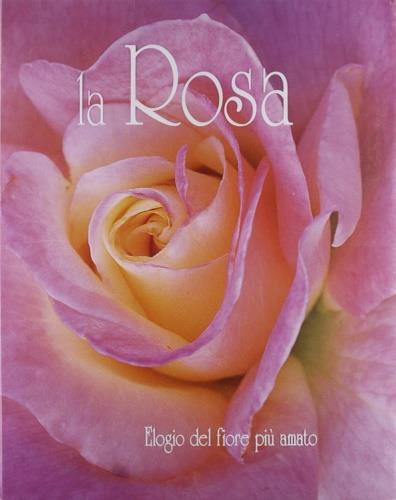 La rosa. Ediz. illustrata - copertina