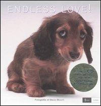 Endless love! Ediz. italiana e inglese. Con CD Audio - Steve Bloom - copertina