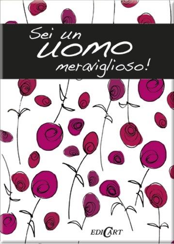 Sei un uomo meraviglioso! - copertina