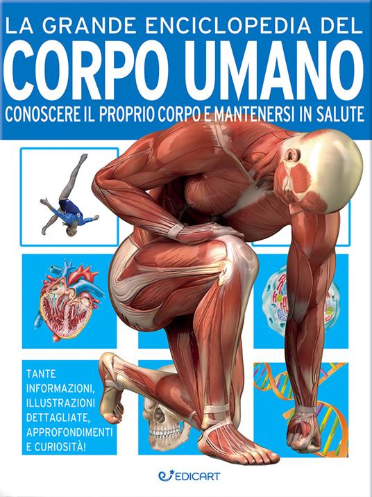 La grande enciclopedia del corpo umano. Conoscere il proprio corpo e mantenersi in salute - John Farndon,Nicki Lampon - copertina