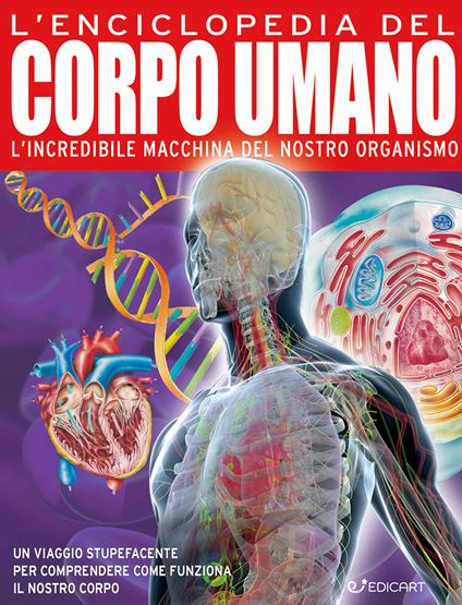 L'enciclopedia del corpo umano - John Farndon,Nicki Lampon - copertina