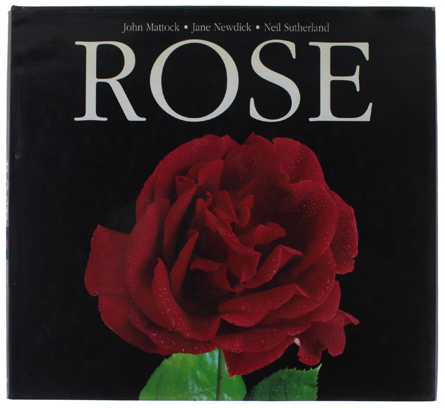 Bergoglio Libri d'Epoca Snc