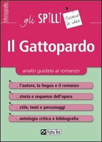 Il Gattopardo. Analisi guidata al romanzo - Mariangela Castiello - copertina