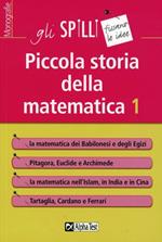 Piccola storia della matematica. Vol. 1