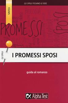 I promessi sposi. Analisi guidata al romanzo