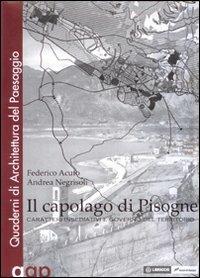 Il capolago di Pisogne - Federico Acuto,Andrea Negrisoli - copertina