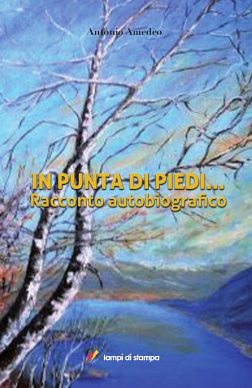 In punta di piedi... - Antonio Amedeo - copertina