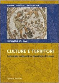 Culture e territori. I consumi culturali in provincia di Lecce - Ludovico Solima - copertina