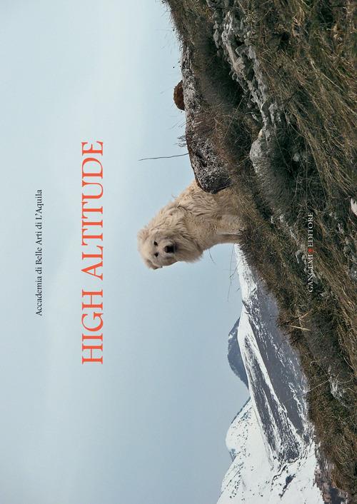 High altitude. Ediz. illustrata - copertina