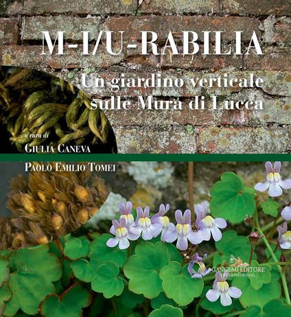 M-i/u-rabilia. Un giardino verticale sulle mura di Lucca. Ediz. a colori - copertina