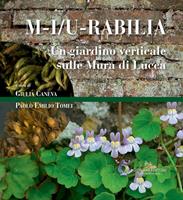 Nome prodotto