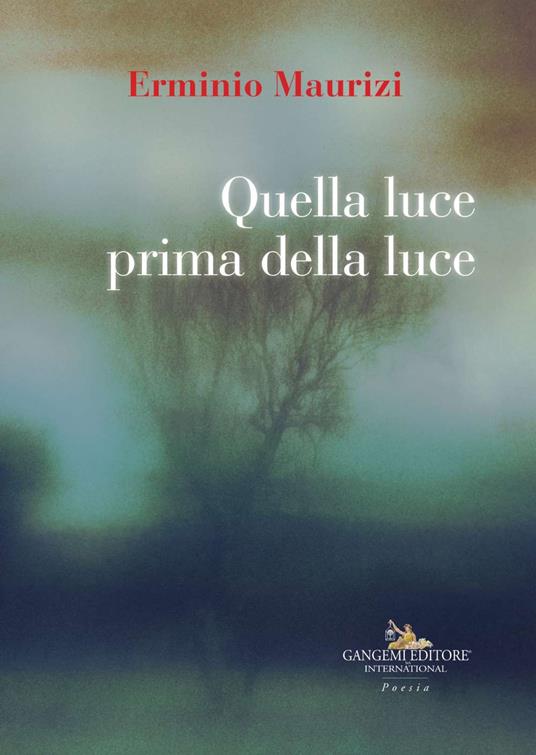 Quella luce prima della luce - Erminio Maurizi - copertina