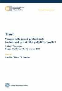 Libro Trust. Viaggio nella prassi professionale tra interessi privati, fini pubblici e benefici Amalia Chiara Di Landro