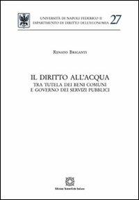 Il diritto dell'acqua - Renato Briganti - copertina