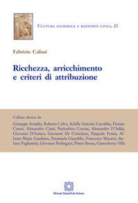 Ricchezza, arricchimento e criteri di attribuzione - Fabrizio Calisai - copertina